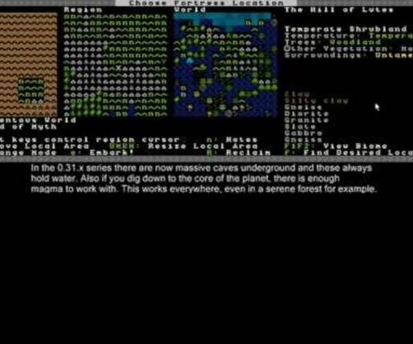 Dwarf Fortress 2010