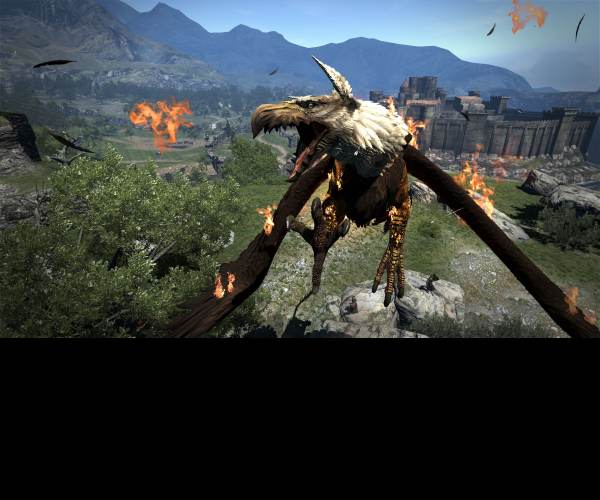 Dragons Dogma