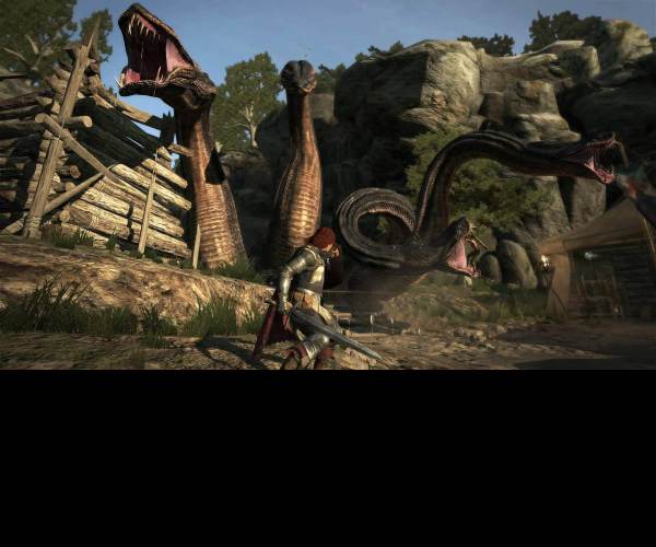 Dragons Dogma