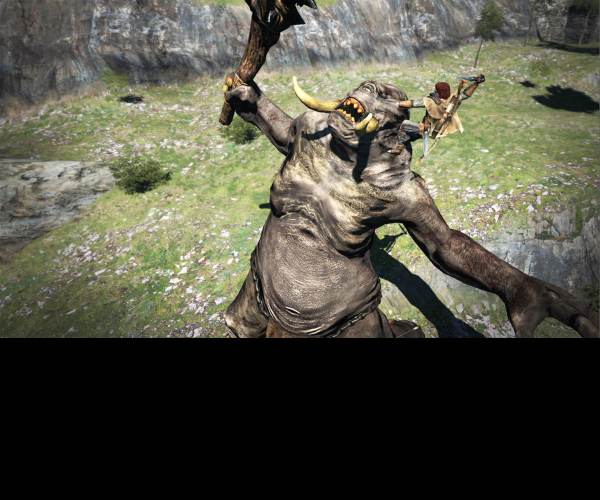 Dragons Dogma