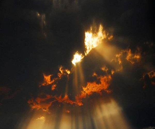 A Hand in the Darkness