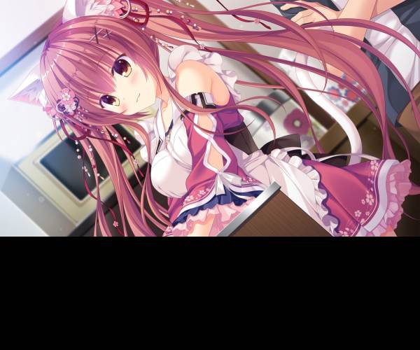 NEKO-NIN exHeart