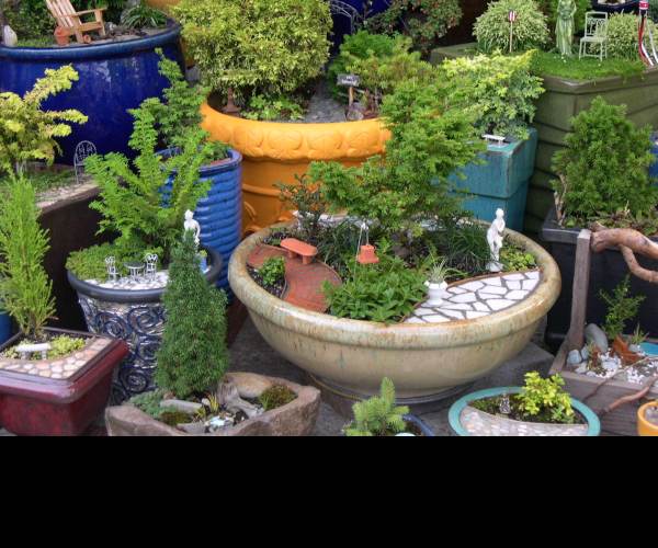 Miniature Garden