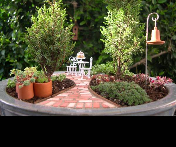 Miniature Garden