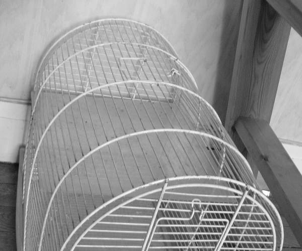 CAGE