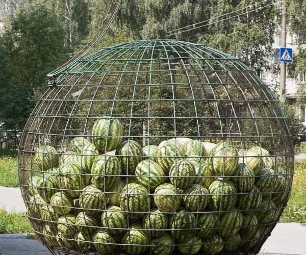 CAGE
