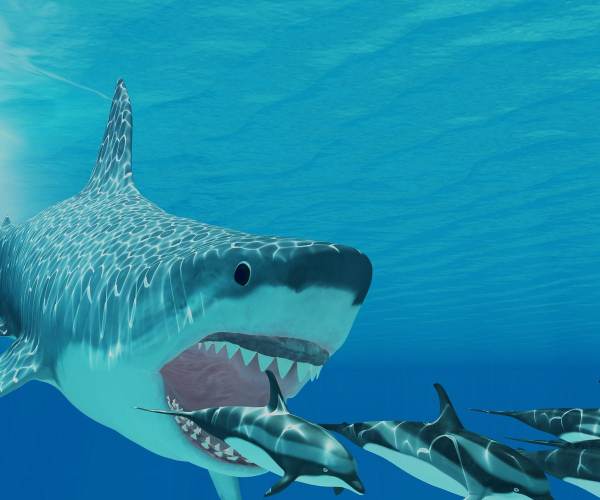 Megalodon