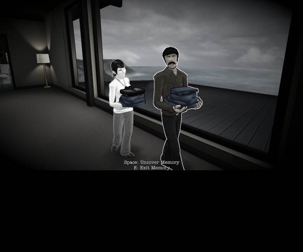 The Novelist