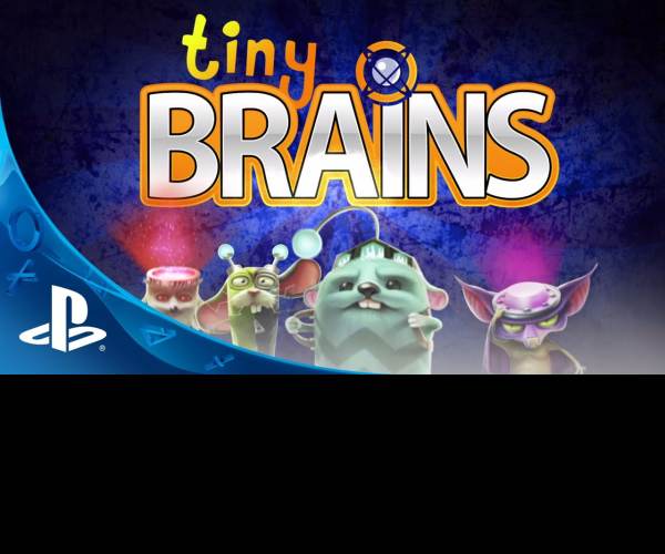 Tiny Brains